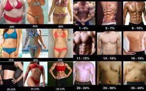参照元https://www.tasteaholics.com/keto-diet/how-to-measure-body-fat-percentage/